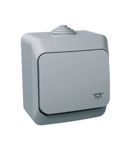 Cedar Plus Przycisk "światło" IP44 szary Schneider WDE000613