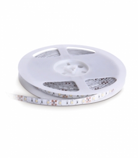 Taśma LED TRAMO 300 diod 2835 IP65 PREMIUM barwa ZIMNOBIAŁA 5m KOBI LIGHT KB2835HZBPRE