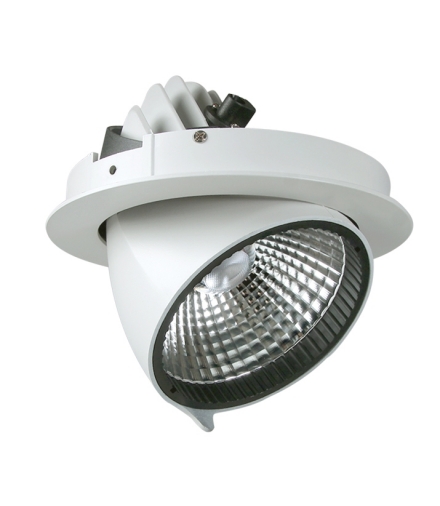 Oprawa LED NEXPULLOUT NP1 35W 35° 3000K BIAŁA NEXUS 02NSTP13EA0B