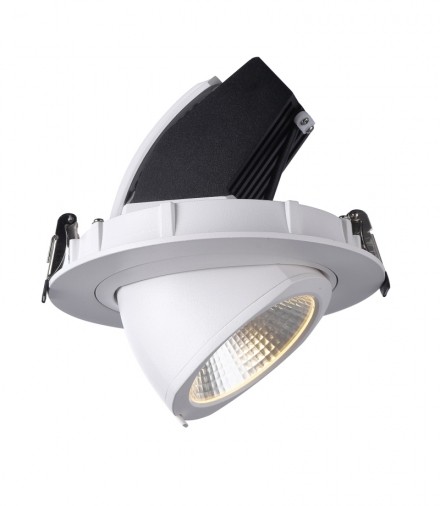 Oprawa LED NEXPULLOUT NP2 40W 36° 3000K BIAŁA NEXUS 02NSTP25FA0B