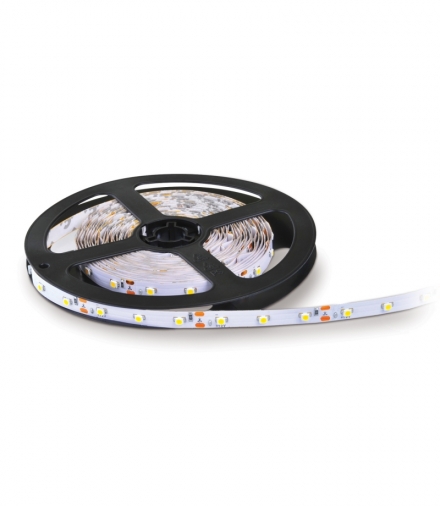 Taśma LED TRAMO 300 diod 3528 IP20 barwa NIEBIESKA 5M KOBI LIGHT KB35283NB