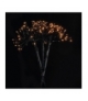 Dekoracja ogrodowa - 192 LED fajerwerki 30 cm IP44 WW, timer EMOS DCTW07