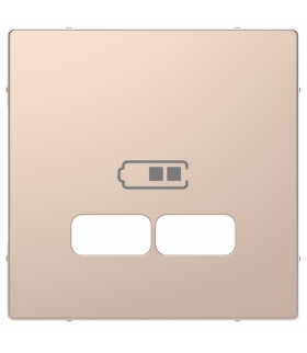 Merten Płytka centralna do ładowarki USB, szampan met