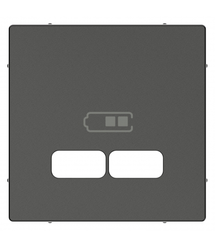 Merten Płytka cent. gn.ład.USB antracytowy SysM