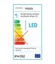 SKARA lampka biurkowa LED 3,2W biała z zielonym sznurem