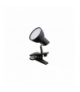 Lampa typu clip NOAH, LED, 5W 360lm, 3000K, IP20, czary Rabalux 1478