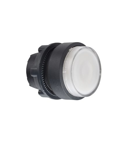 DOUBLE ILL. PUSHBUTTON HEAD, ZB5AHCUST08 Schneider Electric