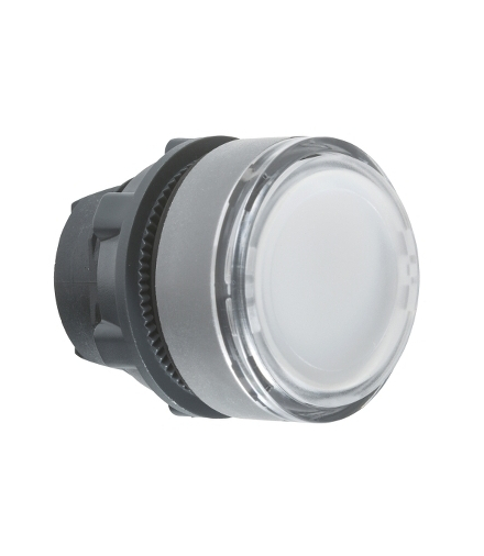 DOUBLE ILL. PUSHBUTTON HEAD, ZB5AHCUST03 Schneider Electric