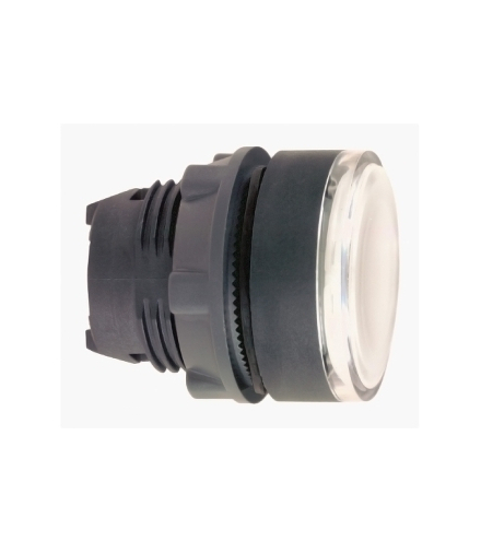 DOUBLE ILL. PUSHBUTTON HEAD, ZB5AHCUST04 Schneider Electric