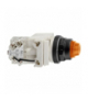 Lampka sygnalizacyjna 120V 30mm SK + opcje, 9001SKT38LYA31 Schneider Electric