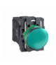 Harmony XB5 Lampka sygnalizacyjna zielona żarówka 220/240V plastikowa typowa, XB5AV43 Schneider Electric