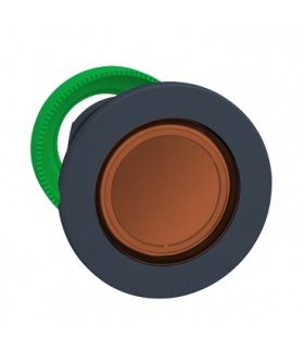 Płaski Poma.Nakłpodśw Przycisk Głów Led, ZB5FH053 Schneider Electric