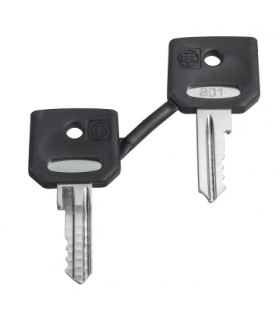 Harmony XB4 Zestaw 2 kluczy 421E, ZBG421E Schneider Electric