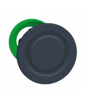 Płaski Blanking Plug, ZB5FSZ3 Schneider Electric