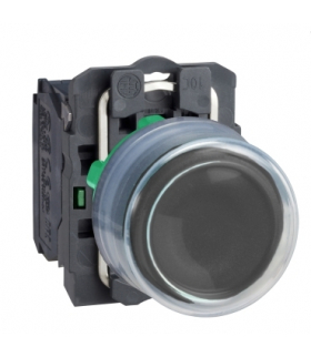 PUSHBUTTON, XB5APCUST01 Schneider Electric