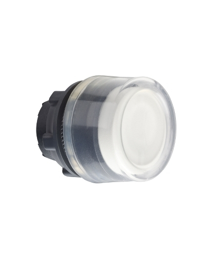 Harmony XB5 Główka przycisku okapturzonego wystającego z samopowrotem biała plastikowa, ZB5AP1 Schneider Electric