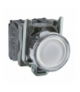 ILLUMINATED PUSHBUTTON, XB4BWCUST03 Schneider Electric