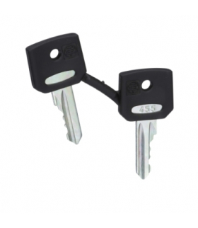 Harmony XB4 Zestaw 2 kluczy 455, ZBG455 Schneider Electric
