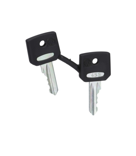 Harmony XB4 Zestaw 2 kluczy 455, ZBG455 Schneider Electric