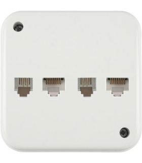 LIZA Gniazdo natynkowe telefoniczne podwójne 2xRJ11, 4-stykowe + gniazdo komputerowe podwójne 2xRJ45, kat. 5e Karlik GNTK-4