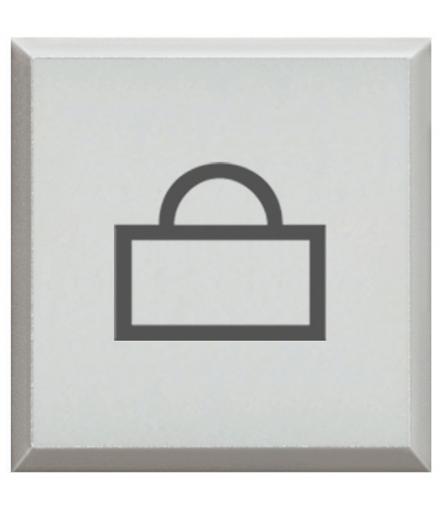 AXOLUTE - Symbol LISTONOSZ Legrand H4920BLP