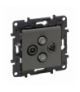 Niloe Step GniazdoTV-RD-SAT-SAT 2-przewodowe do instalacji typu gwiazda 1,5 dB - Stalowe Legrand 863482