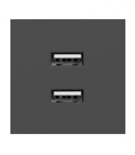 NOEN USB x 2, podwójny port modułowy 45x45mm z ładowarką USB, 2,1A 5V DC, czarny Orno OR-GM-9010/B/USBX2