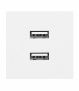 NOEN USB x 2, podwójny port modułowy 45x45mm z ładowarką USB, 2,1A 5V DC, biały Orno OR-GM-9010/W/USBX2