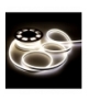 Neon Flex 24V 10mb 8W/m V-TAC VT-555 4000K 320lm
