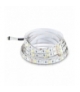 Taśma LED V-TAC SMD5050 300LED RGBW 12V IP20 9W/m VT-5050 3000K+RGB 900lm