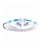Taśma LED V-TAC SMD2835 630LED 24V IP20 5mb 8W/m VT-2835 126 4000K 1200lm