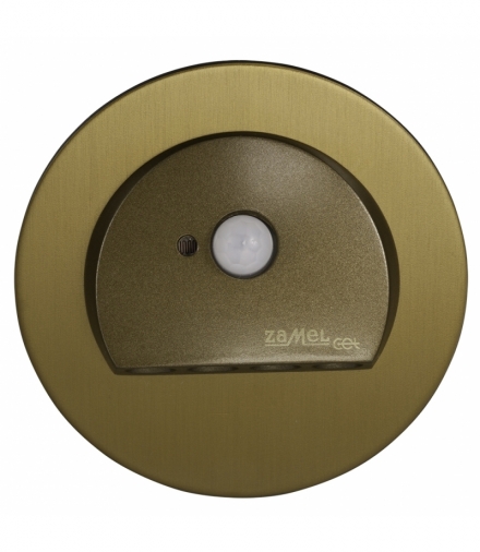 Oprawa LED RUBI PT 14V DC z czujnikiem ruchu STARE ZŁOTO - biała zimna