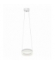 LAMPA WISZĄCA RING 12W LED Eko-Light ML404