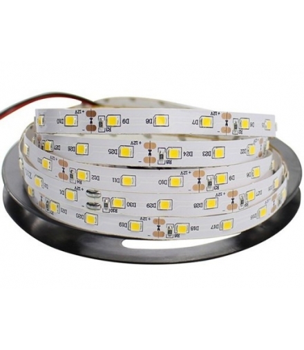 TAŚMA 2,5m 120LED. 24W. Barwa: Zimny Biały. IP20 Eko-Light EKPL650