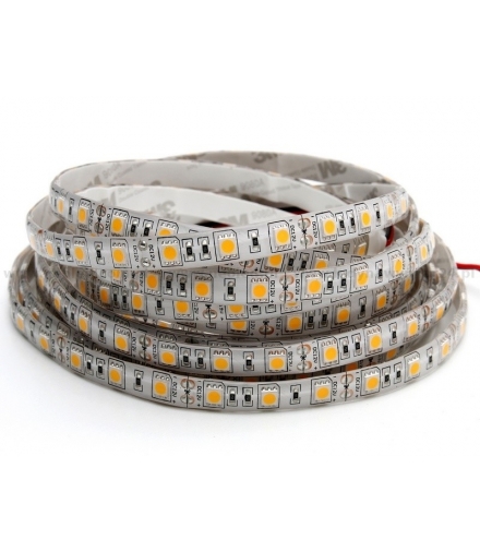 TAŚMA 2,5m 60LED. 36W. Barwa: Zimny Biały. IP20 Eko-Light EKPL599
