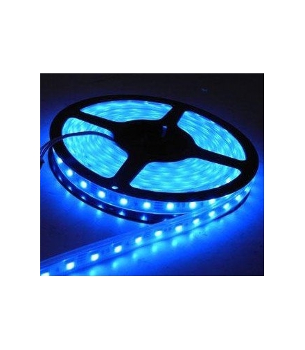 TAŚMA 60LED. 12W. Barwa: Niebieski. IP20 Eko-Light EKPL728