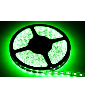 TAŚMA 60 LED 24W. Barwa Zielony. IP20. (5 metrów) Eko-Light EKPL884