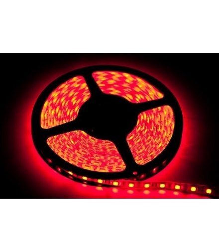TAŚMA 60 LED 24W. Barwa Czerwony. IP65. (5 metrów) Eko-Light EKPL9168