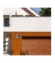 Lampka Solarna Butterfly Czarna 3,2W Eko-Light EKO3874