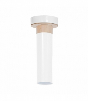 Lampa Sufitowa Pedro White 1xGU10 Eko-Light MLP4255