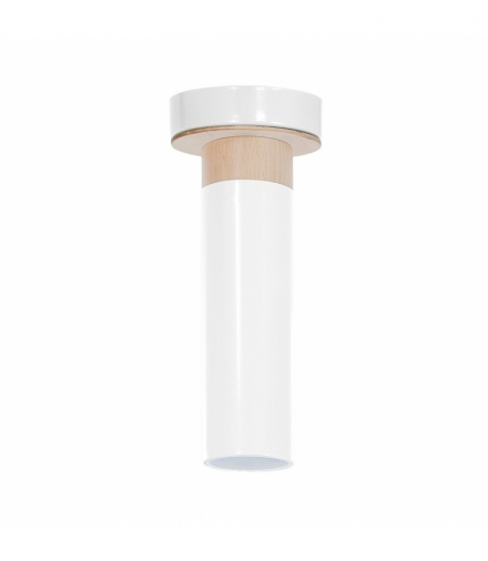 Lampa Sufitowa Pedro White 1xGU10 Eko-Light MLP4255