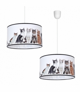 Lampa Wisząca dziecięca z kotkami CATS 1xE27 Eko-Light MLP4281