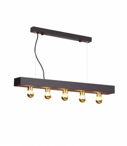 Lampa Wisząca PHOENIX 5xE14 Eko-Light MZ5023