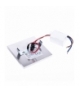 BERG Barwa Neutralna 4000K Eko-Light EKS0407