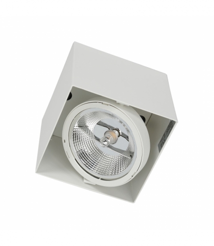 Oprawa Natynkowa Plaza 1xGU10 AR111 Biała Eko-Light ML4743