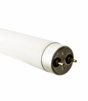 Świetlówka Fluorescencyjna T8 58W 150cm 6000K G13 Eko-Light EKT2332