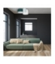 Lampa sufitowa STAN GREEN 3xE27 Eko-Light MLP64580
