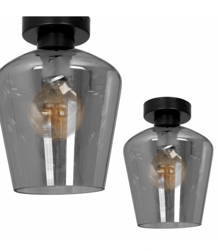 Lampa sufitowa SANTIAGO SMOKED 1xE27 Eko-Light MLP6603