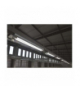 Żarówka LED liniowa PROFI PLUS T8 7,3W 60cm neutralna biel EMOS Lighting Z73215