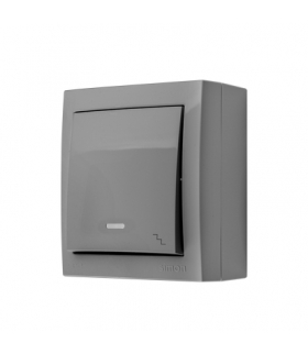 Łącznik schodowy podświetlany szary 10AX ACW6L/16 AquaClick